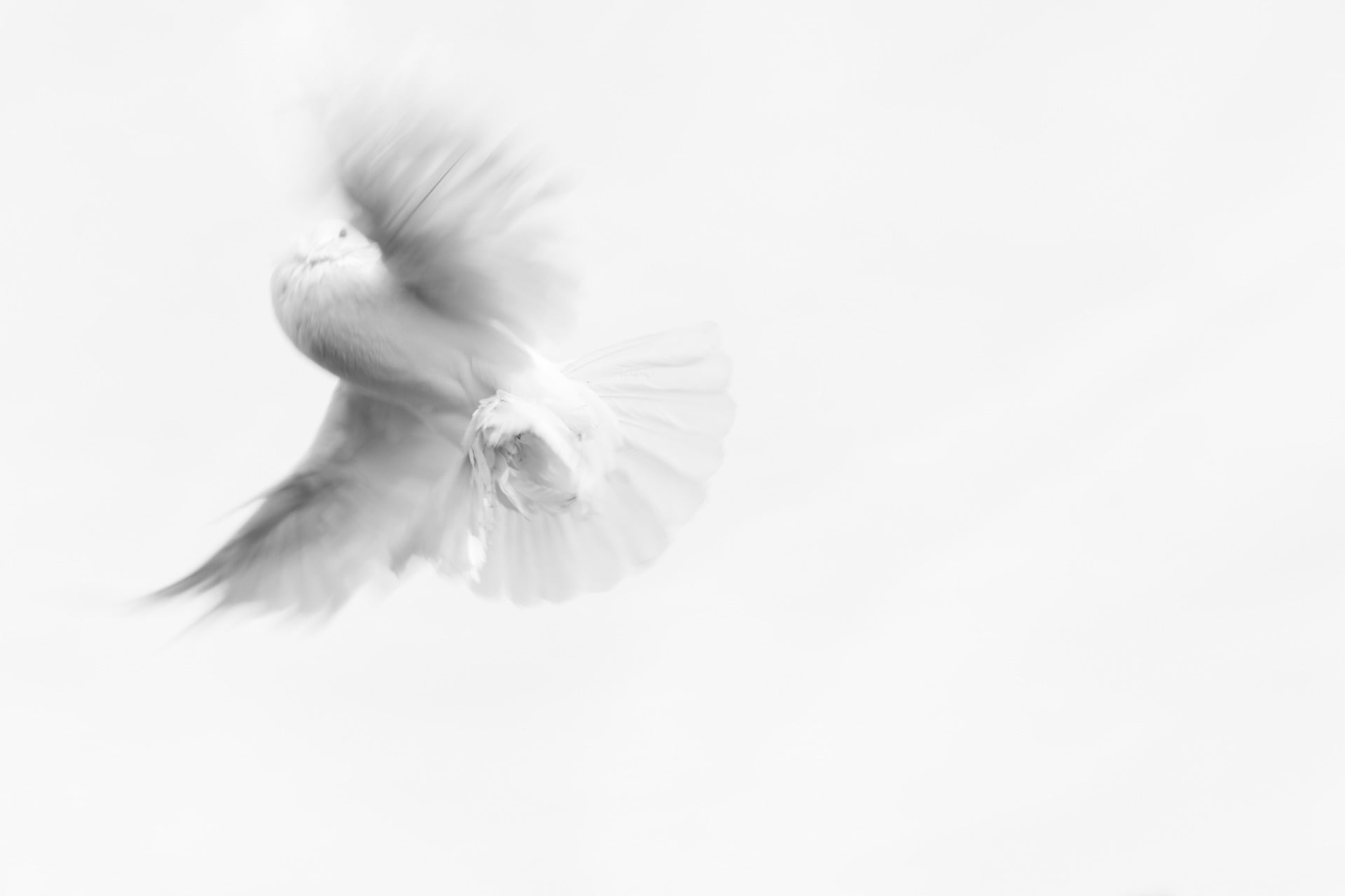 The Coming of the Holy Spirit (Acts 1:8-11)