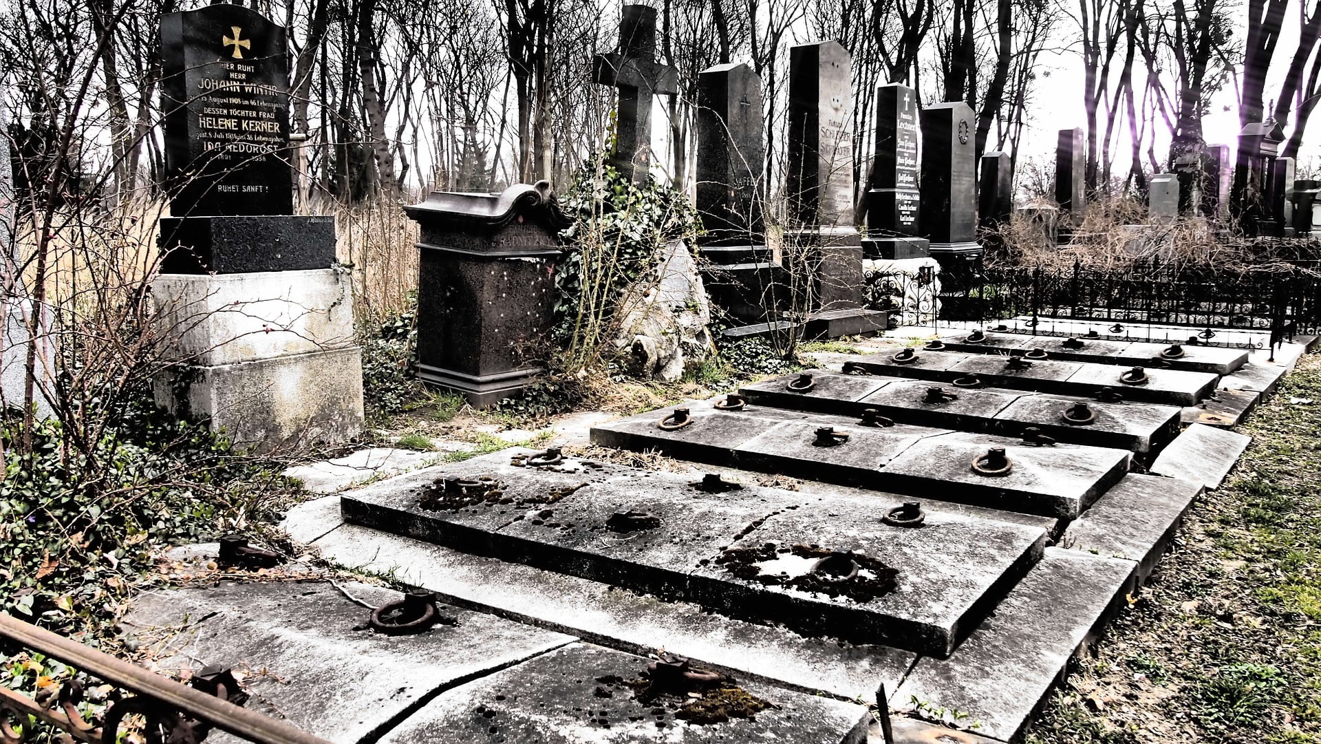 From Death To Life (John 4:44-54)