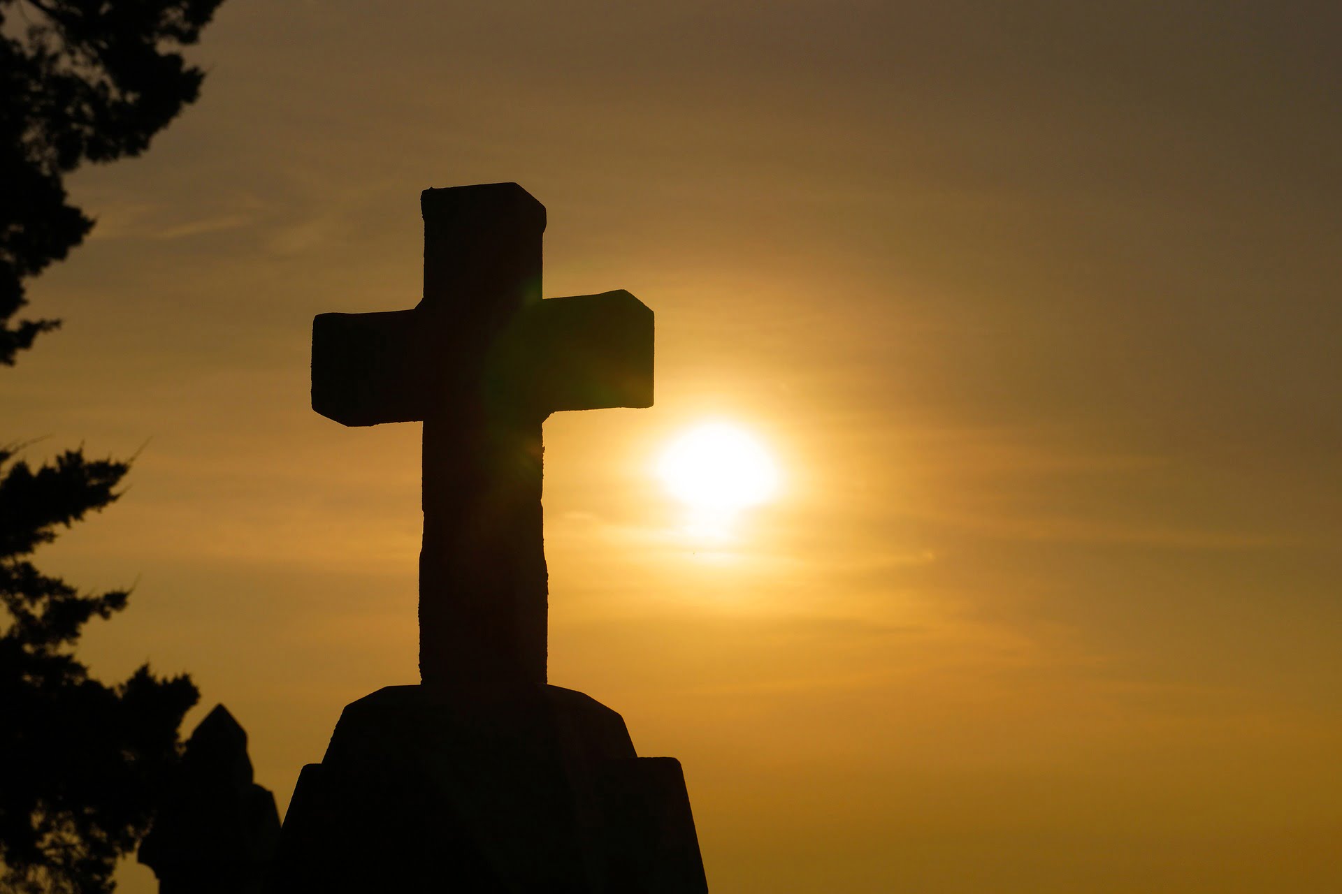The Light of the World Meets a Man Born Blind (John 9)