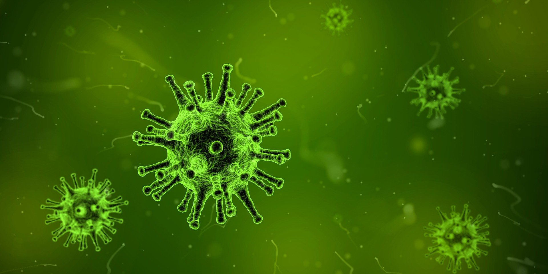 Thoughts on the Corona Virus and Our Response To It (Luke 13:1-5; Romans 8:18-30; Philippians 2:3-4)